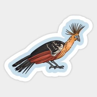 Hoatzin bird cartoon illustration. Sticker